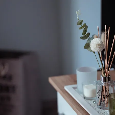 Friends 호텔 Shkodër